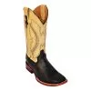 Ferrini 10293-04 Black / Saddle Genuine Smooth Ostrich Boots -Winter Boot Store ferrini 10293 04 black saddle genuine smooth ostrich boots 4842