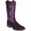 Ferrini Ladies 90493-04 Black / Purple Caiman Hornback Crocodile Print Boots 1 Ferrini Ladies 90493-04 Black / Purple Caiman Hornback Crocodile Print Boots -Winter Boot Store ferrini ladies 90493 04 black purple caiman hornback crocodile print boots 7247